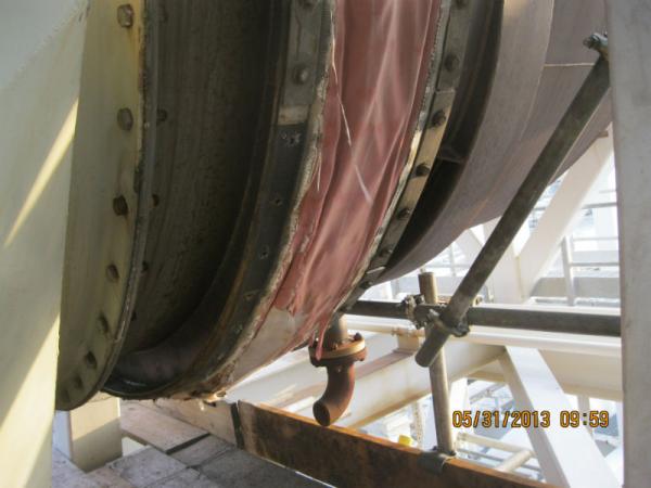 shell-sea-eagle-6