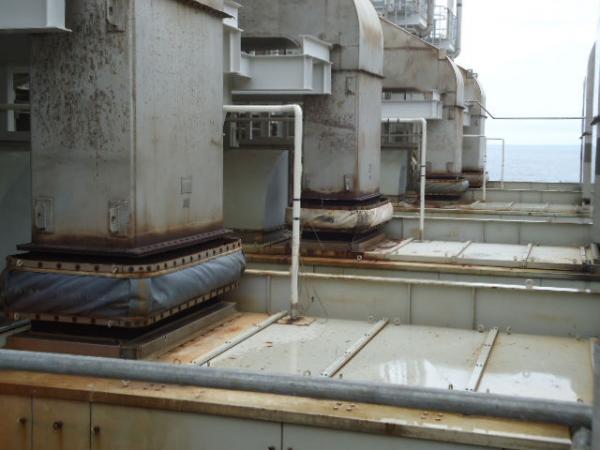 shell-sea-eagle-9